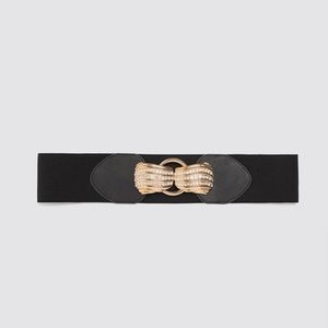 Zara Stretch Belt Brooch Buckle
